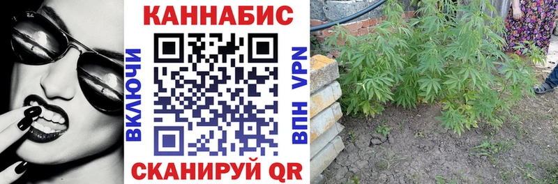 Где продают наркотики Каменск-Уральский ГАШ  Каннабис  A PVP  АМФЕТАМИН  Мефедрон 