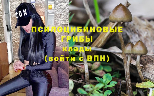 мяу мяу мука Алзамай