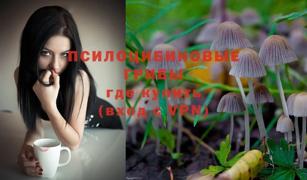 мяу мяу мука Алзамай