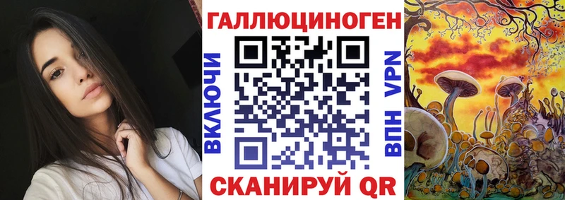дарнет шоп  Каменск-Уральский  ОМГ ОМГ ТОР  Псилоцибиновые грибы мухоморы 